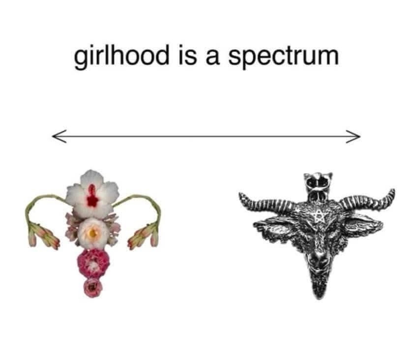 The image displays a horizontal arrow labeled 'girlhood is a spectrum' with two contrasting visuals at its ends: on the…