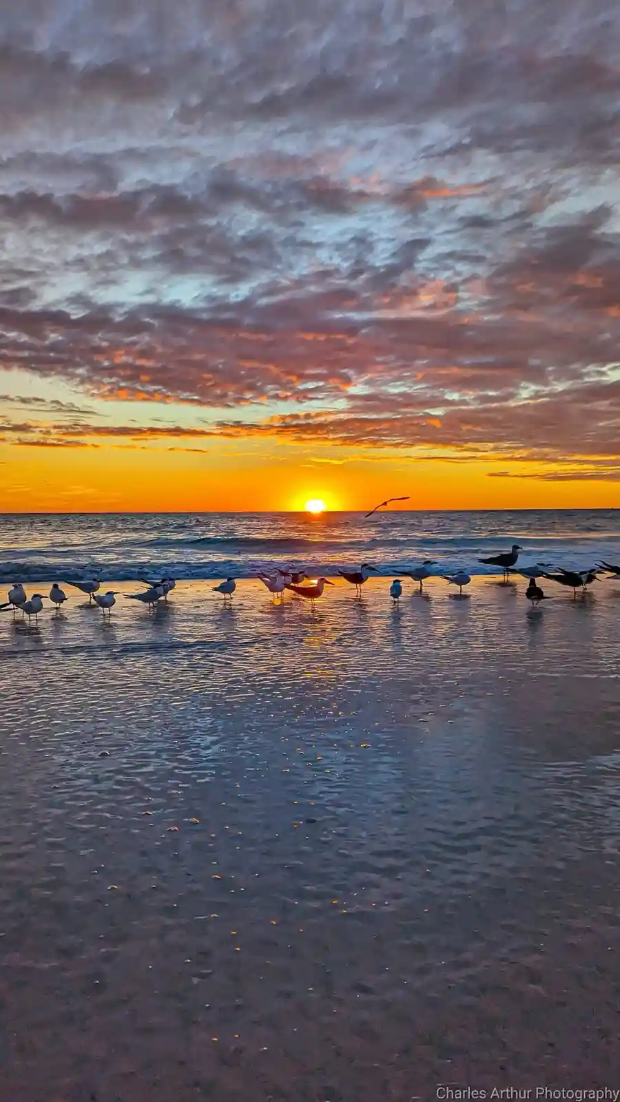 A serene beach scene at sunset with a vibrant orange sun dipping below the horizon, casting colorful reflections on the…