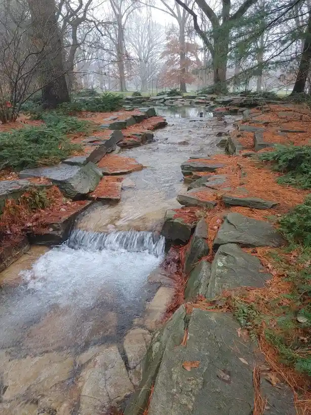 A serene, misty park scene featuring a small, rocky stream with a gentle waterfall, surrounded by bare trees, green ferns…
