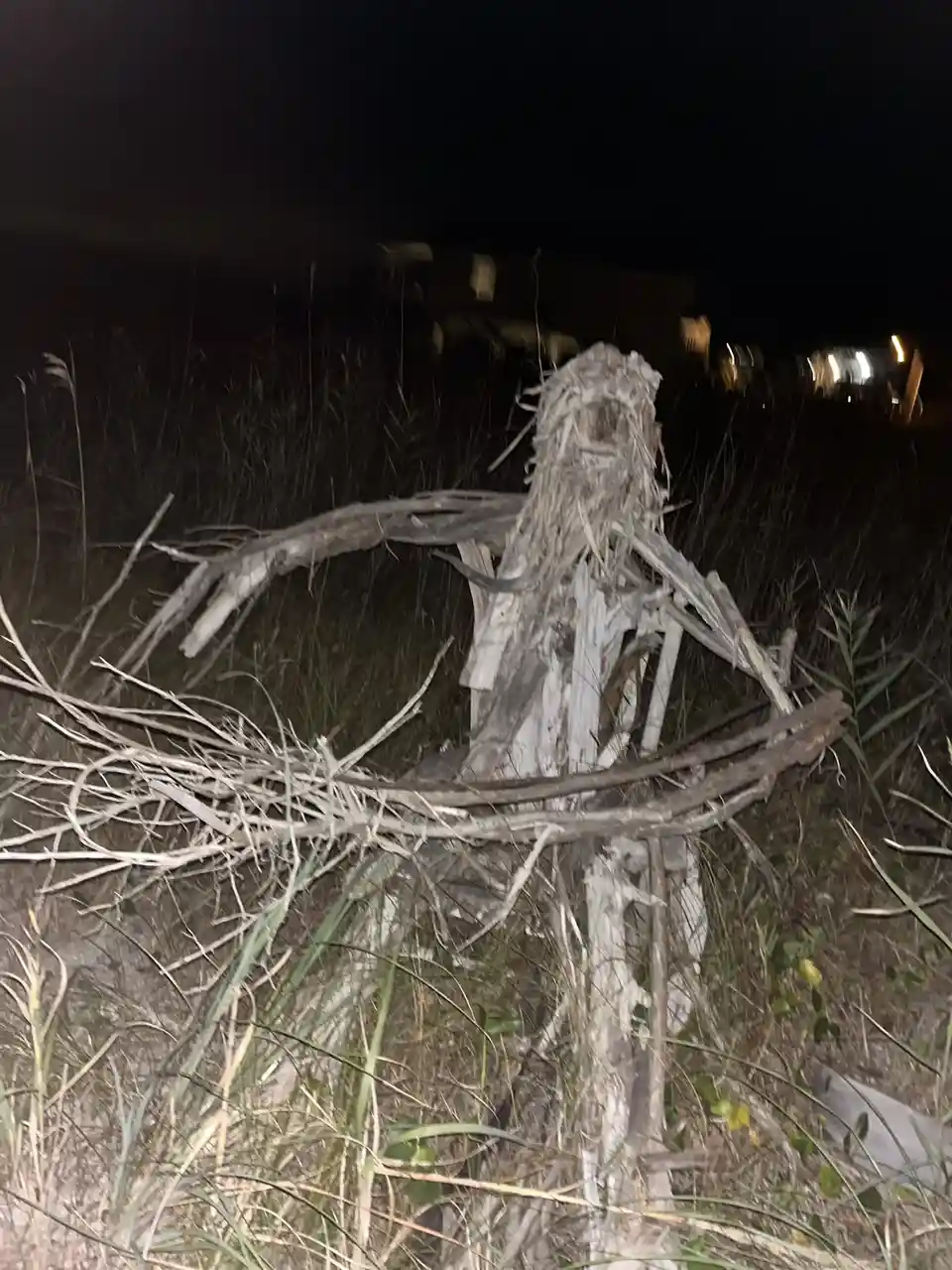 Guardians of the Dunes: Protecting Oak Island, NC