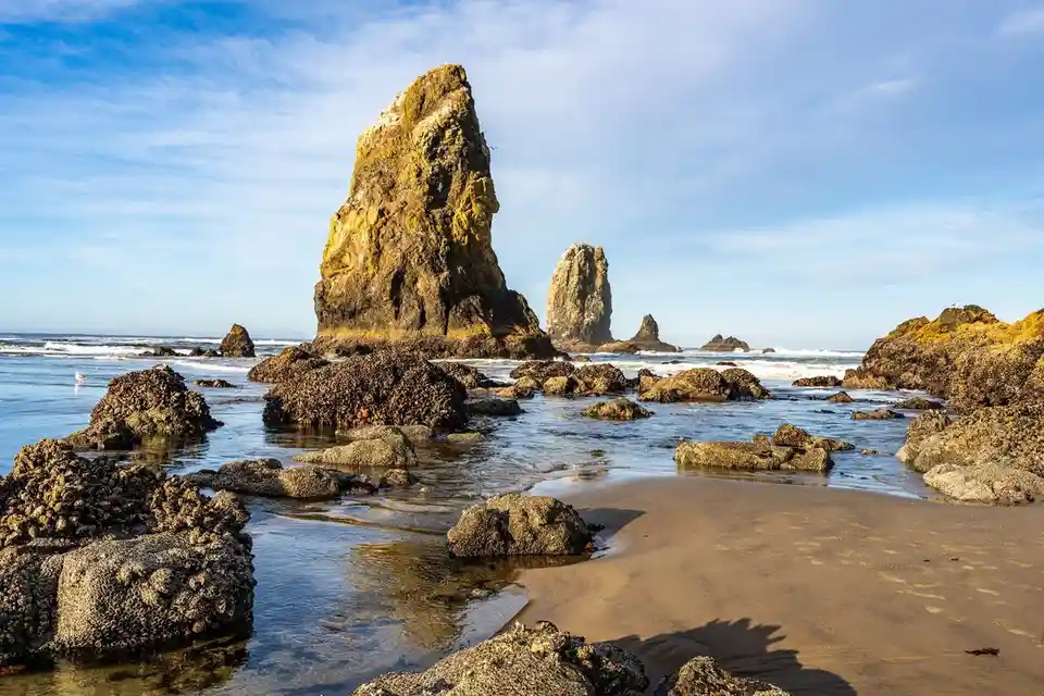 Breathtaking Coastline Views