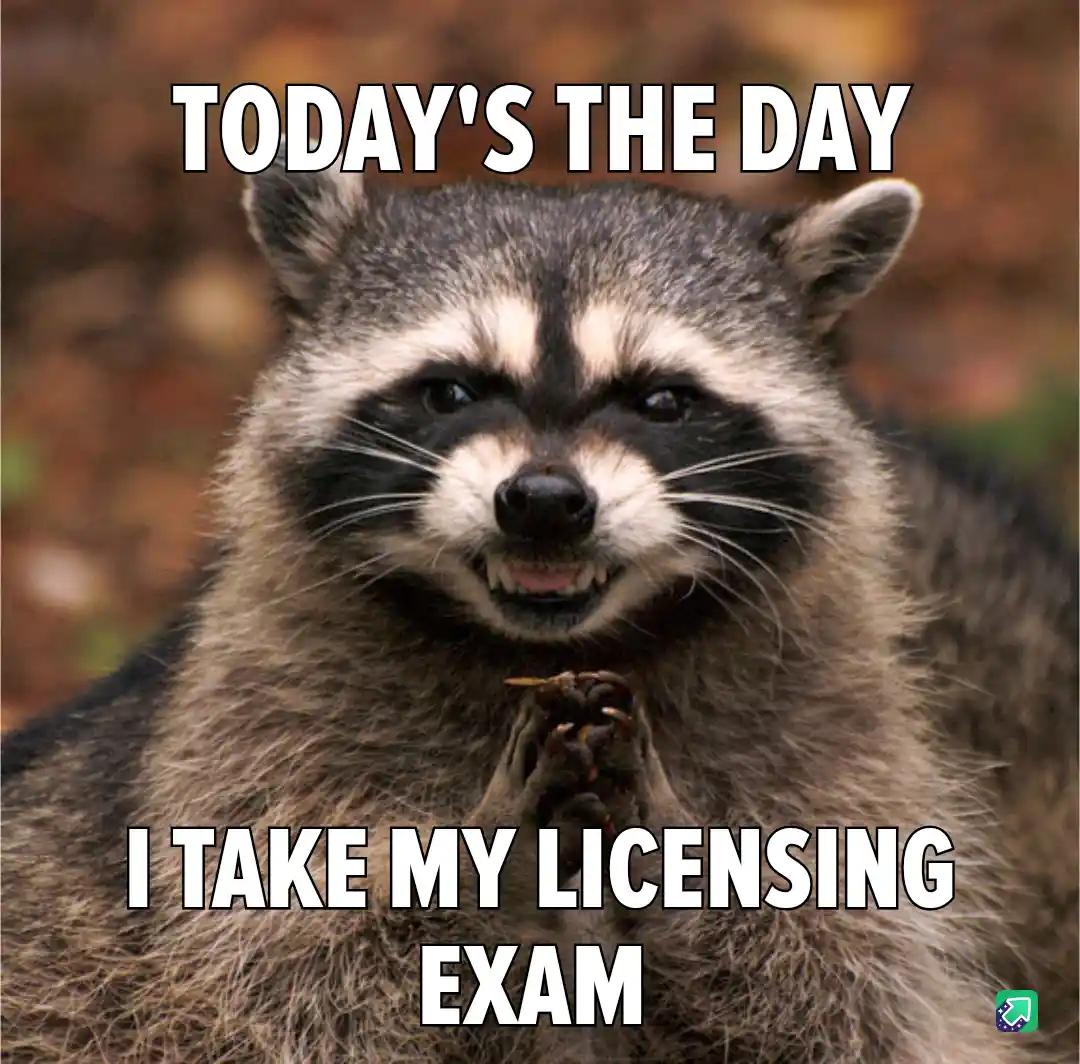 A close-up photo of a raccoon with a determined, almost human-like expression, its paws clasped together in front of its…