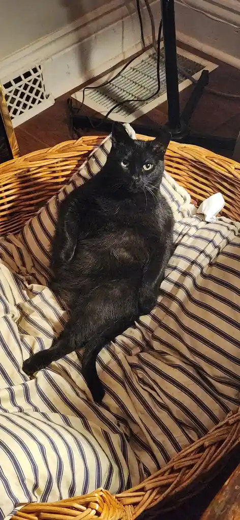 Meet Roly-Poly Pita!