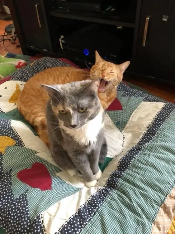 We All Have That One Friend Who Drives Us Crazy