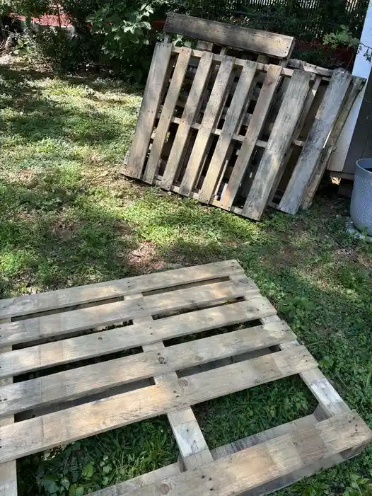 An outdoor photo shows two weathered wooden pallets in a grassy yard, one lying flat in the foreground and another leaning…