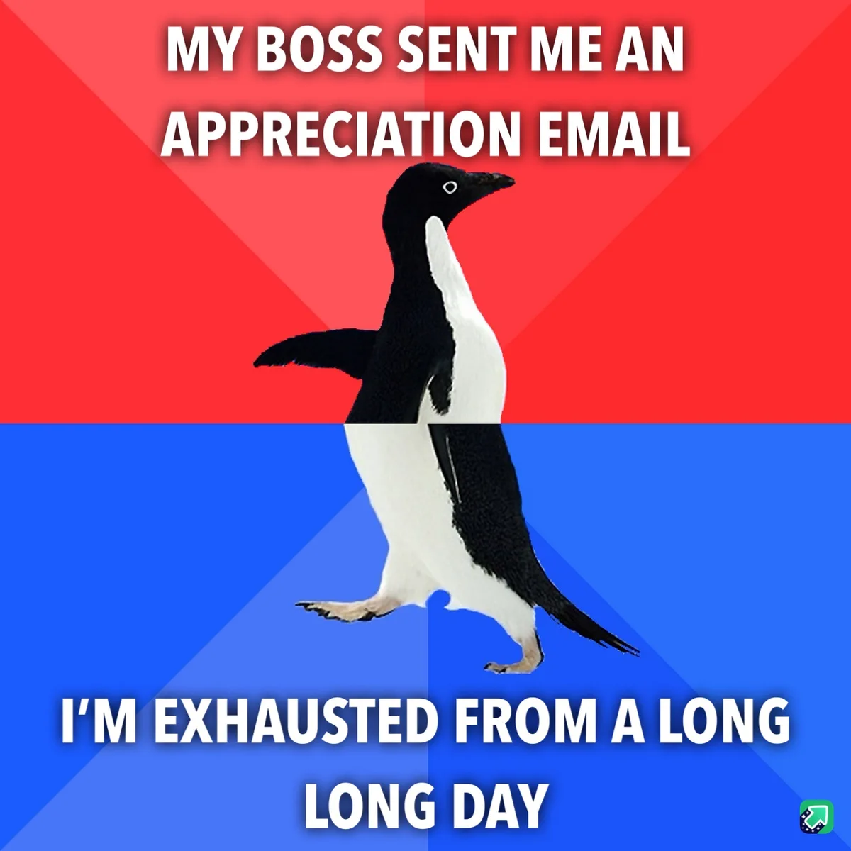 A penguin stands centered against a red and blue background, with white text overlaid. The top text reads 'MY BOSS SENT ME…