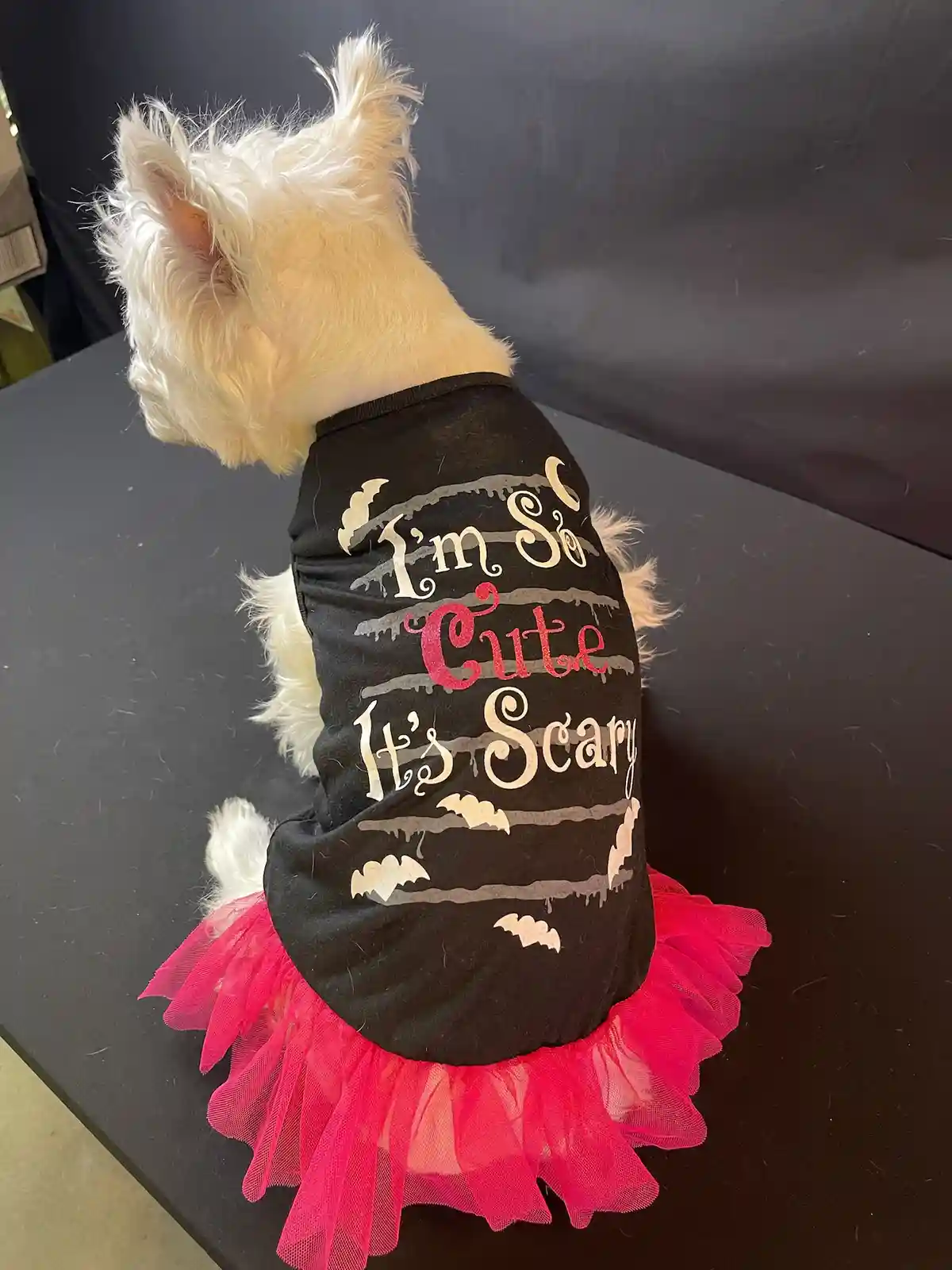 Remembering Lily Bella in Her Adorable 2022 Halloween Costumes