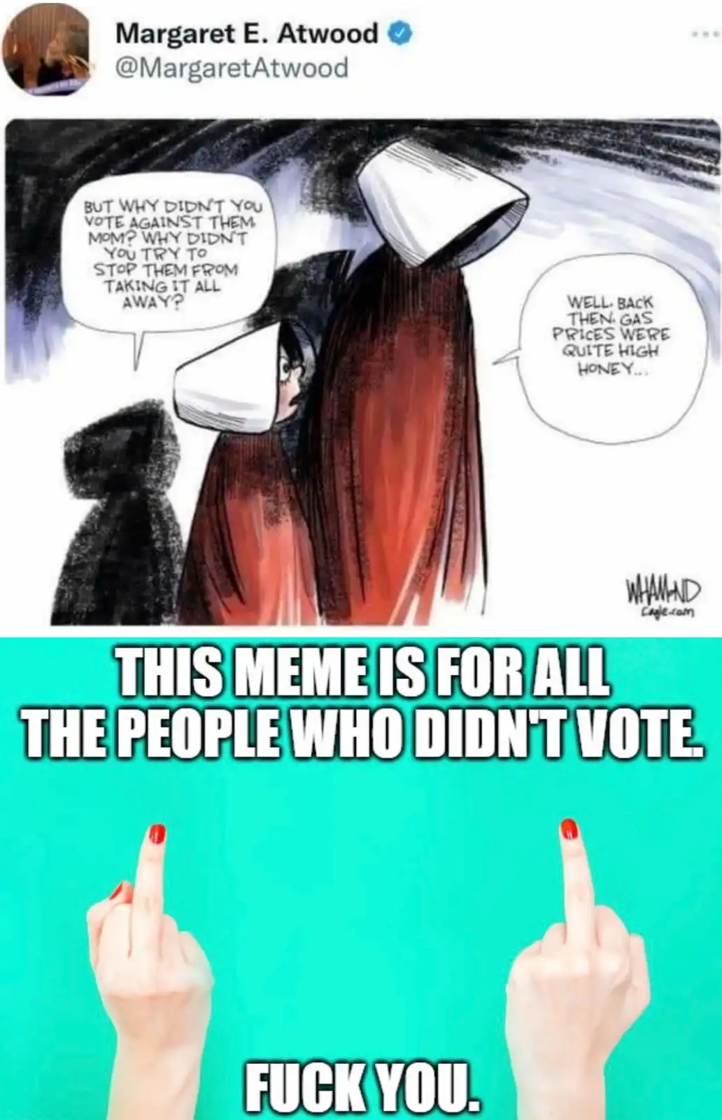 A staggering drop: 14 million fewer Democrats cast their votes this year!