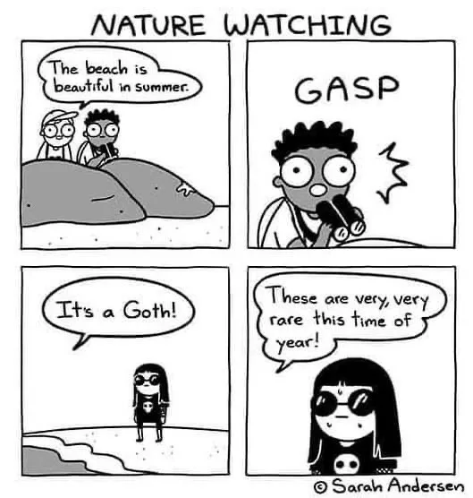 A four-panel comic strip titled 'NATURE WATCHING' shows two people on a beach, one exclaiming the beach is beautiful in…