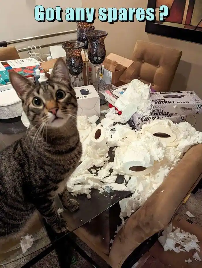 A tabby cat with wide, innocent eyes sits on a glass table surrounded by a massive mess of shredded toilet paper, with boxes…