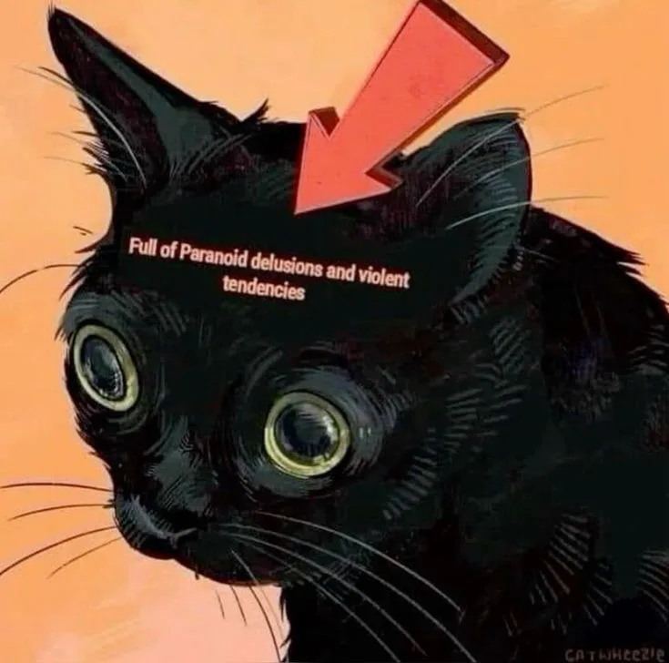 A stylized illustration of a black cat with wide, intense eyes and a slightly menacing expression, set against a solid…