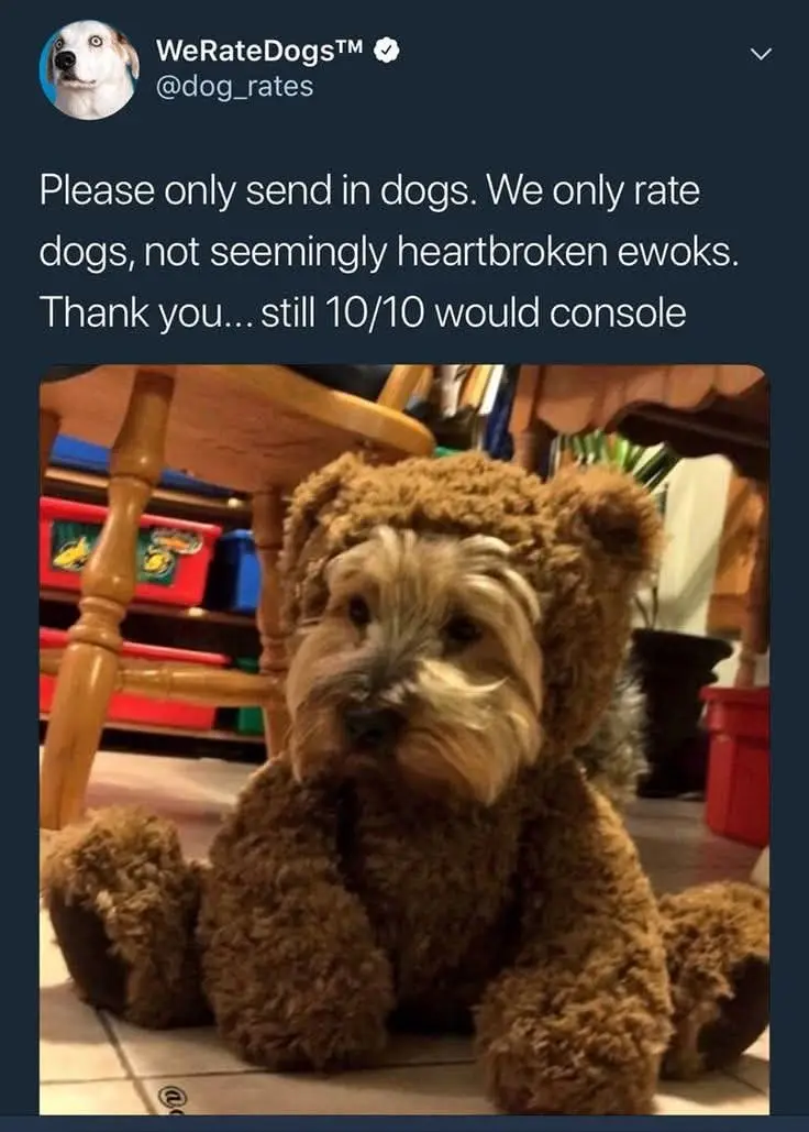 A small, scruffy dog wearing a brown teddy bear costume sits on a tiled floor, looking sad and heartbroken. The overlaid…