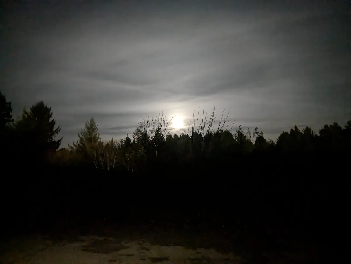 A nighttime photo shows a bright moon partially obscured by clouds, with dark silhouettes of trees and bushes in the…