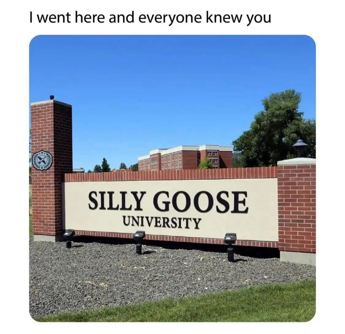 An outdoor photo shows a large brick sign with the text 'SILLY GOOSE UNIVERSITY' in bold black letters on a beige…