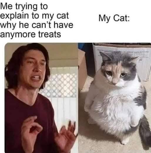 The image is split into two panels. The left panel shows Adam Driver looking earnestly explanatory with his hands gesturing…