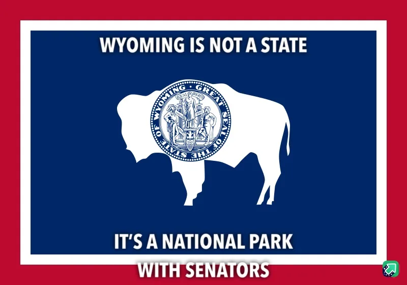 The image displays the official flag of Wyoming, featuring a white bison silhouette on a blue field with the state seal…