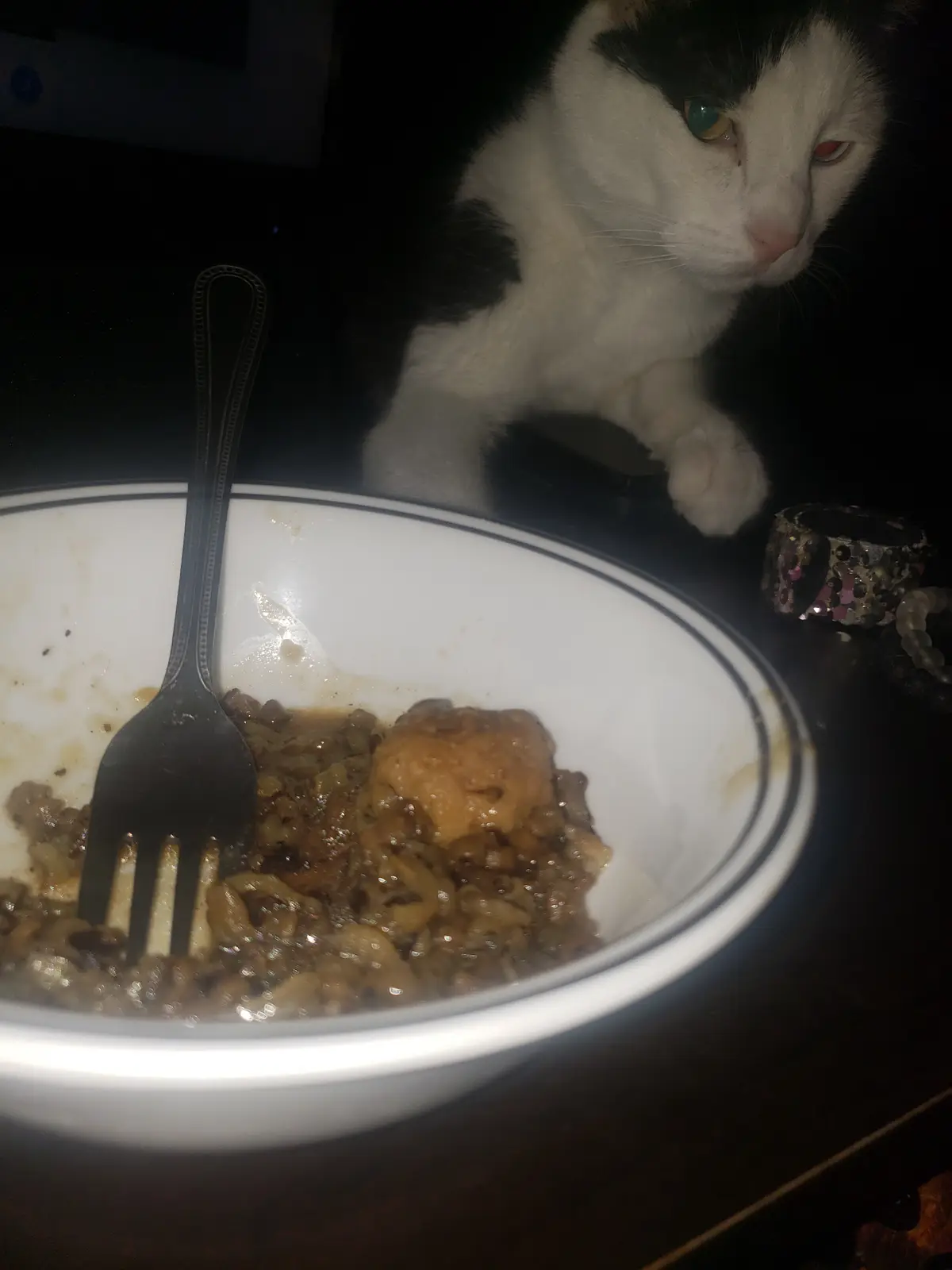 A black and white cat with heterochromatic eyes (one green, one red) stares intently at a nearly empty bowl of food with a…