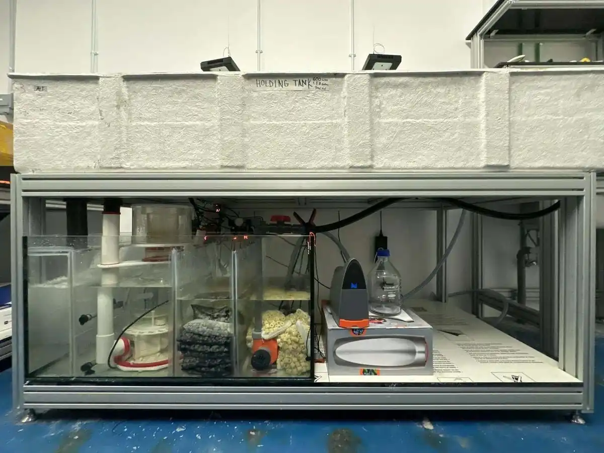 Inside the Holding Tank: A Closer Look