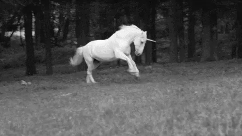 The Enigmatic Unicorn: A Mythical Wonder