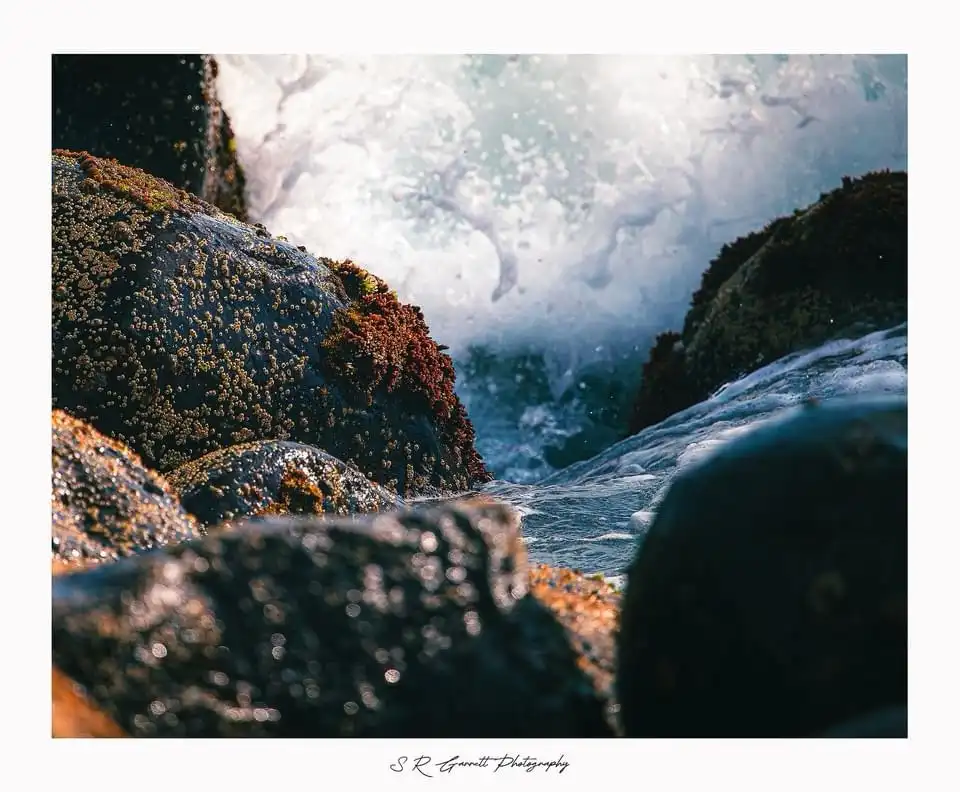 A low-angle photograph shows turbulent ocean waves crashing between dark, moss-covered rocks, with sunlit spray and water…