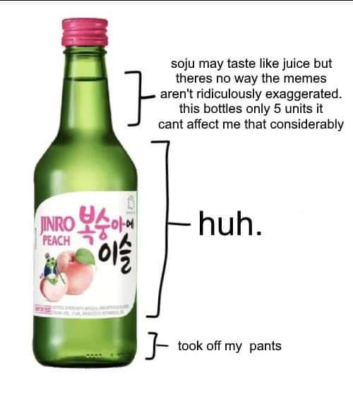 A green bottle of Jinro Peach soju is shown with three hand-drawn brackets pointing to different parts of the bottle. The…