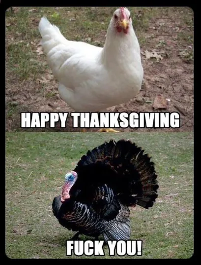 The image is split into two panels. The top panel shows a white chicken standing on grass and dirt, with the text 'HAPPY…