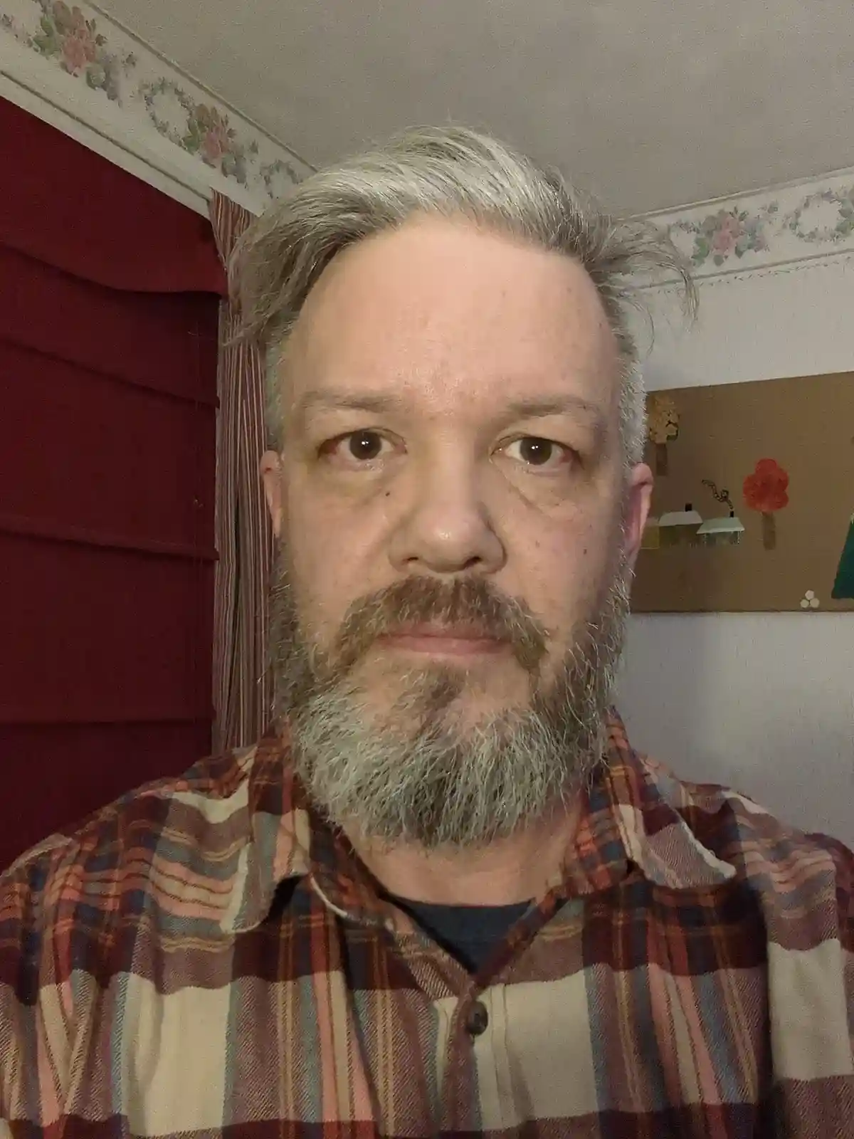 A middle-aged man with gray hair and a beard, wearing a plaid shirt, stares directly at the camera with a deadpan…