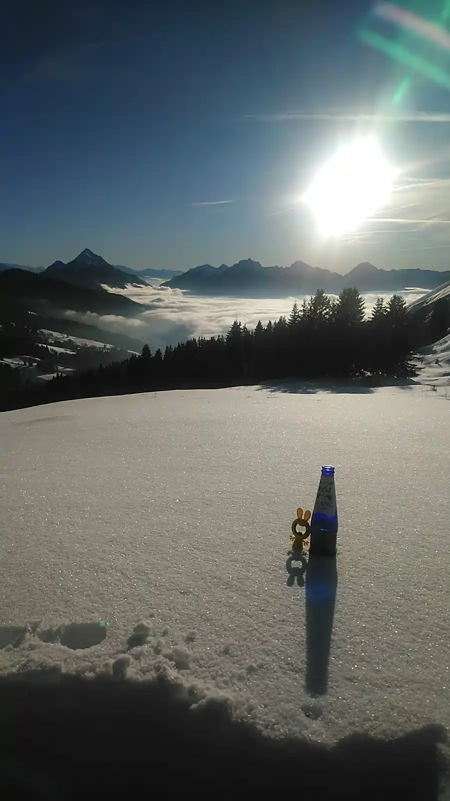 Warm Christmas Wishes from the Stunning French Alps!