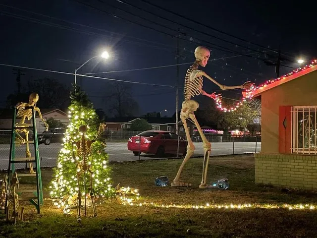 A nighttime outdoor scene shows multiple life-sized plastic skeletons decorating a yard with Christmas lights. One skeleton…
