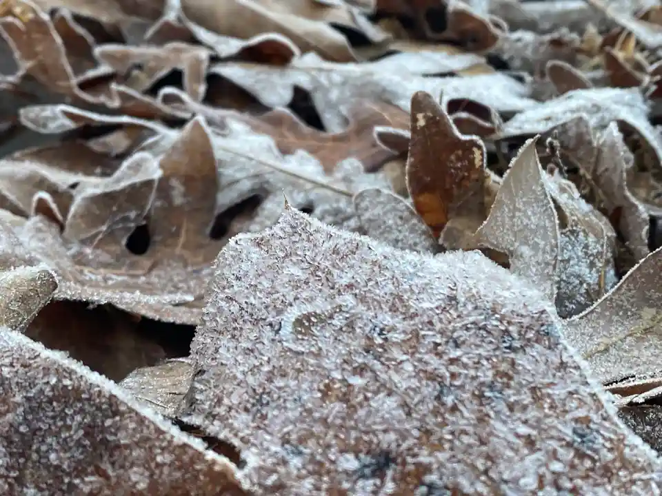 A breathtakingly chilly morning in Durham