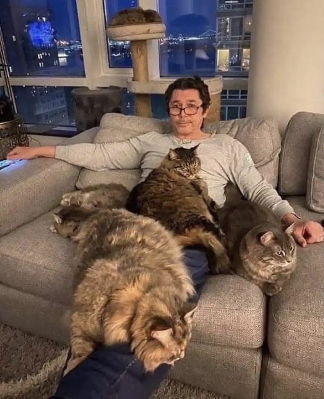 A man wearing glasses and a grey long-sleeved shirt sits on a beige couch surrounded by four large, fluffy cats. One cat…