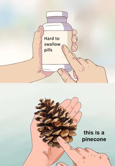 Two-panel cartoon: top panel shows hands holding a pill bottle labeled 'Hard to swallow pills' with a finger pointing at it…