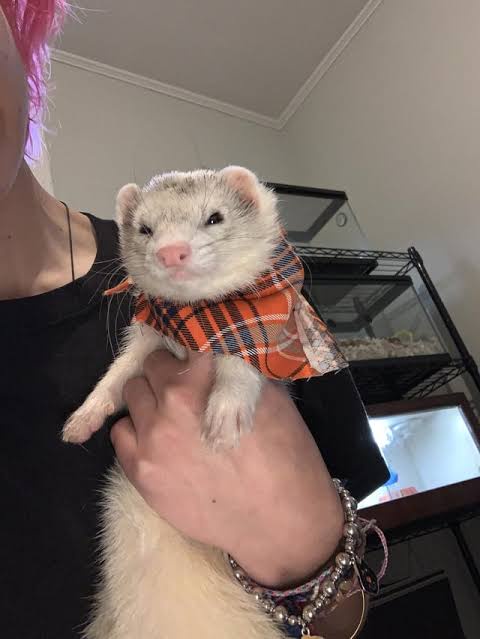 You Really Shouldn't Be This Adorable