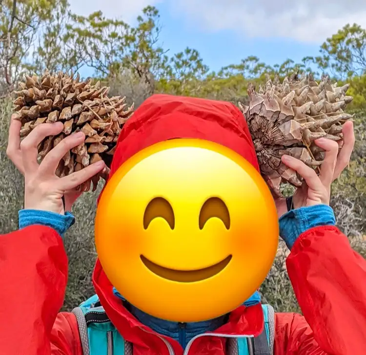 A person wearing a red hooded jacket and a blue backpack holds two large pinecones, one in each hand, outdoors with trees…
