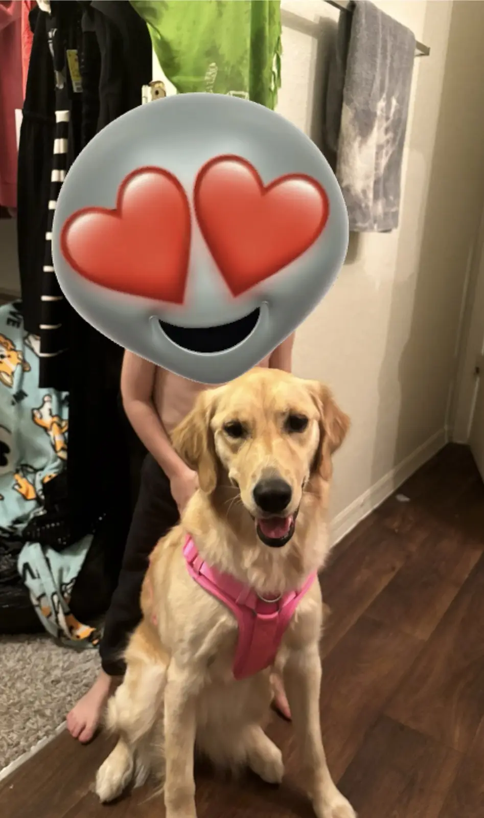 Feeling Complete: My Heart is Full