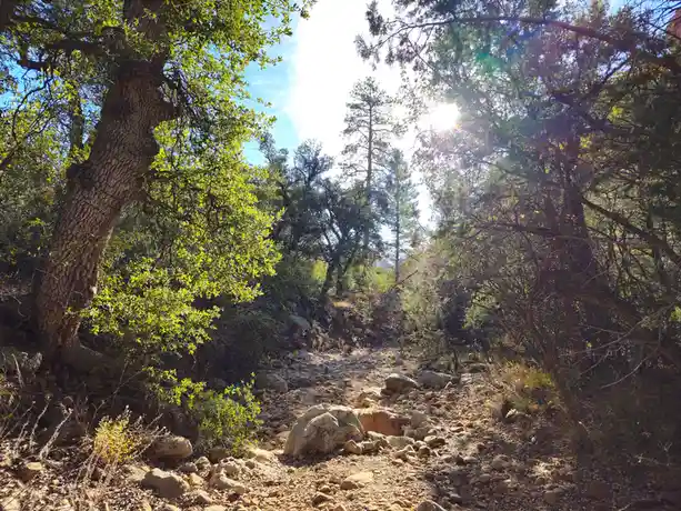 Exploring the Beauty of Boynton Canyon Trail in Sedona