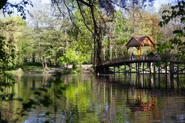 A serene park scene with a wooden bridge and gazebo over a calm lake, surrounded by lush green trees. A person is visible…