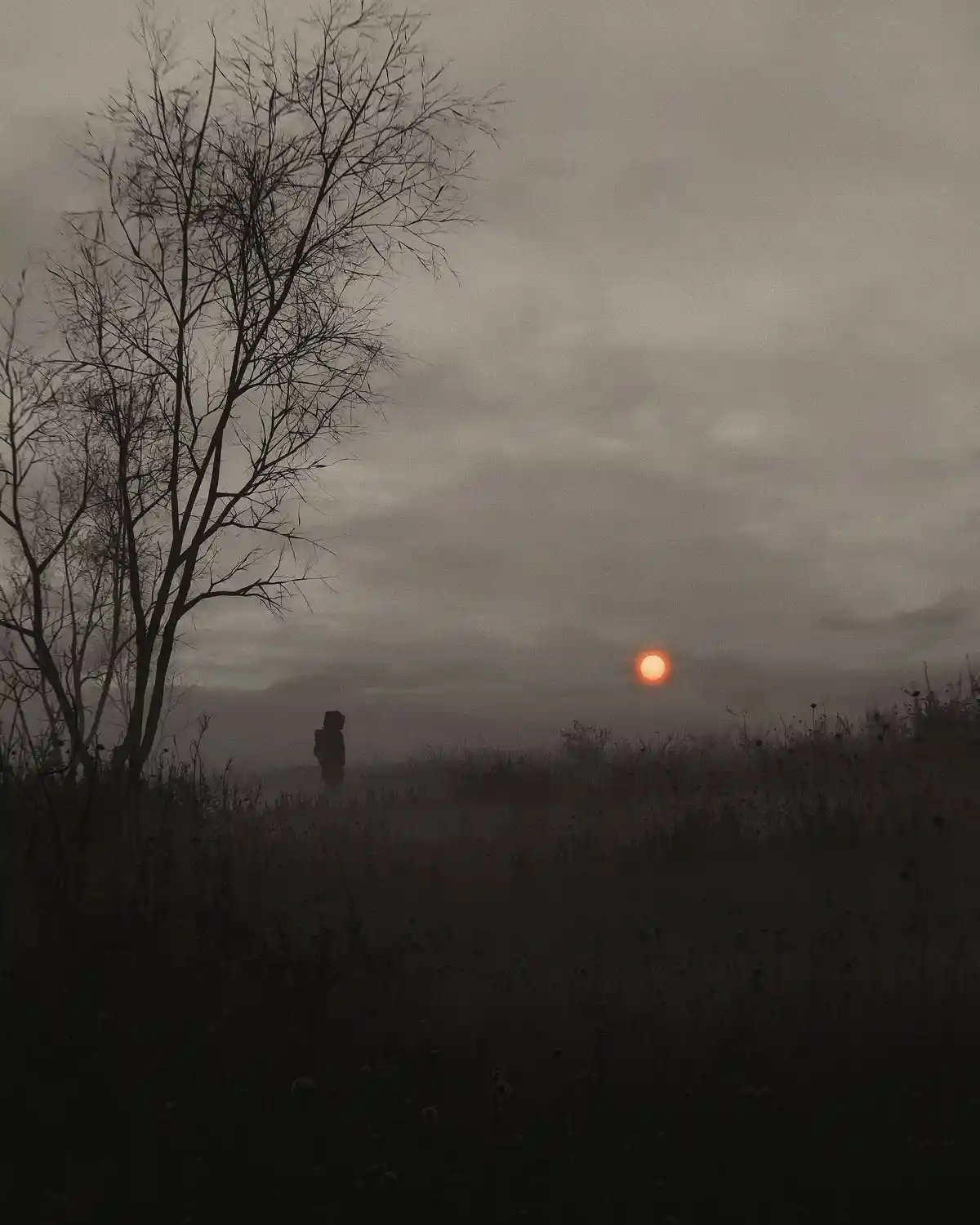 A moody, foggy landscape shows a lone person standing in a field with bare trees, facing a glowing orange sun on the…