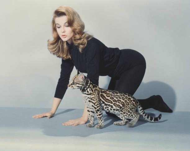 A woman in a black outfit is crouching beside a spotted wild cat, both in a similar pose, with the text 'i'm not a cat, i'm…