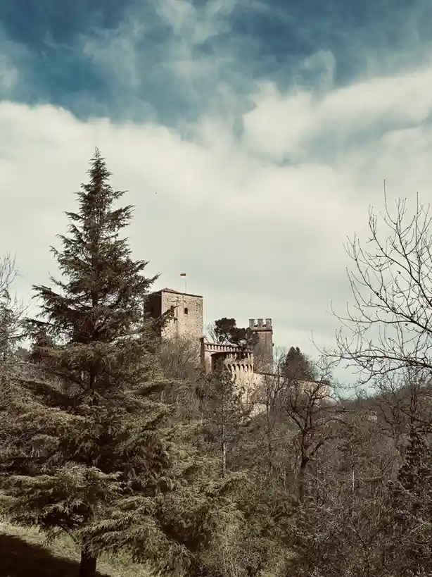 A scenic photograph of a stone castle with towers and battlements, partially obscured by evergreen and bare trees, under a…