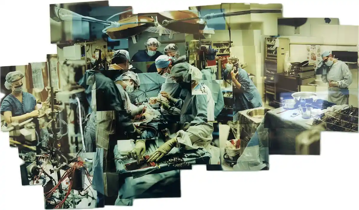 A Visual Journey Through the Best Hospitals According to US News and World Report