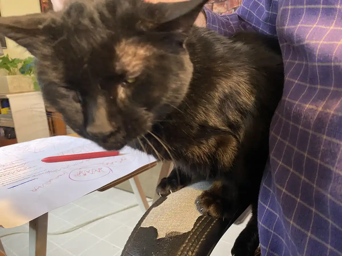 The Ultimate Work Companion: Meet My Work Buddy