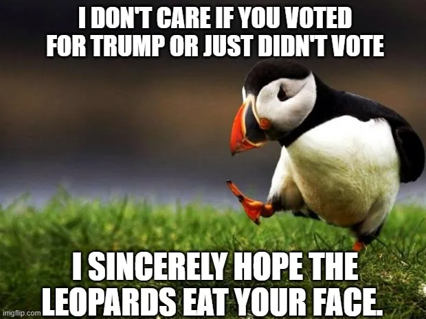 A penguin stands on grass with its head tilted down and one foot lifted, looking unimpressed. White bold text overlaid at…