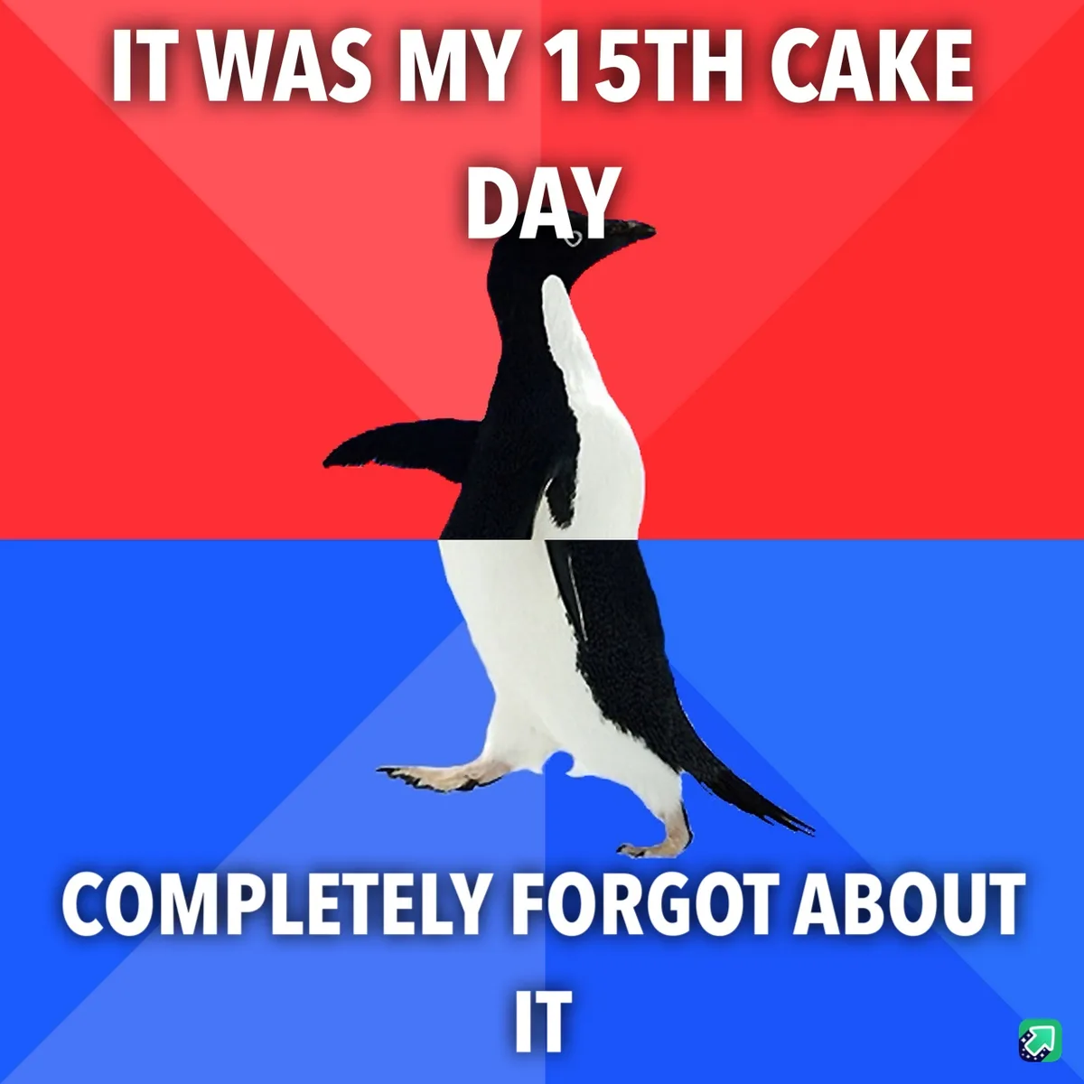 A penguin stands centered against a red and blue background, with white text overlaid. The top text reads 'IT WAS MY 15TH…