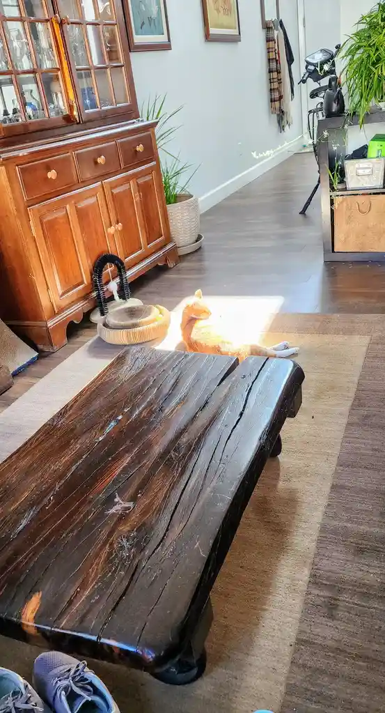 An orange tabby cat is lounging in a bright patch of sunlight on a hardwood floor, partially obscured by a dark wooden…