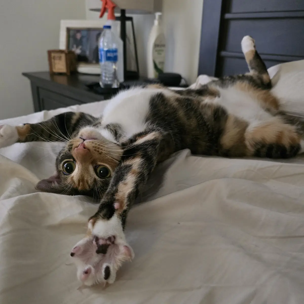 Epic Stretch Moment Captured!