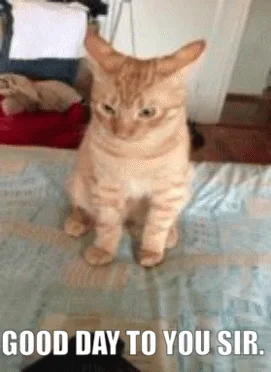 A six-panel meme shows an orange tabby cat sitting on a bed, initially looking forward, then turning its head upward in a…