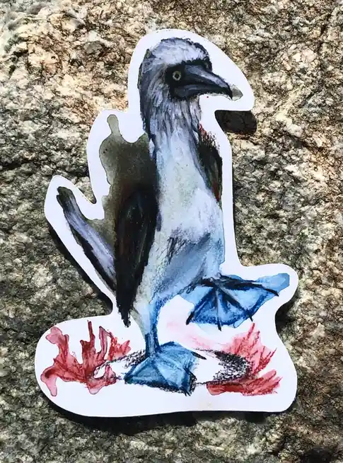 A watercolor-style sticker of a blue-footed booby bird with blue feet and red coral-like markings at its base, placed on a…