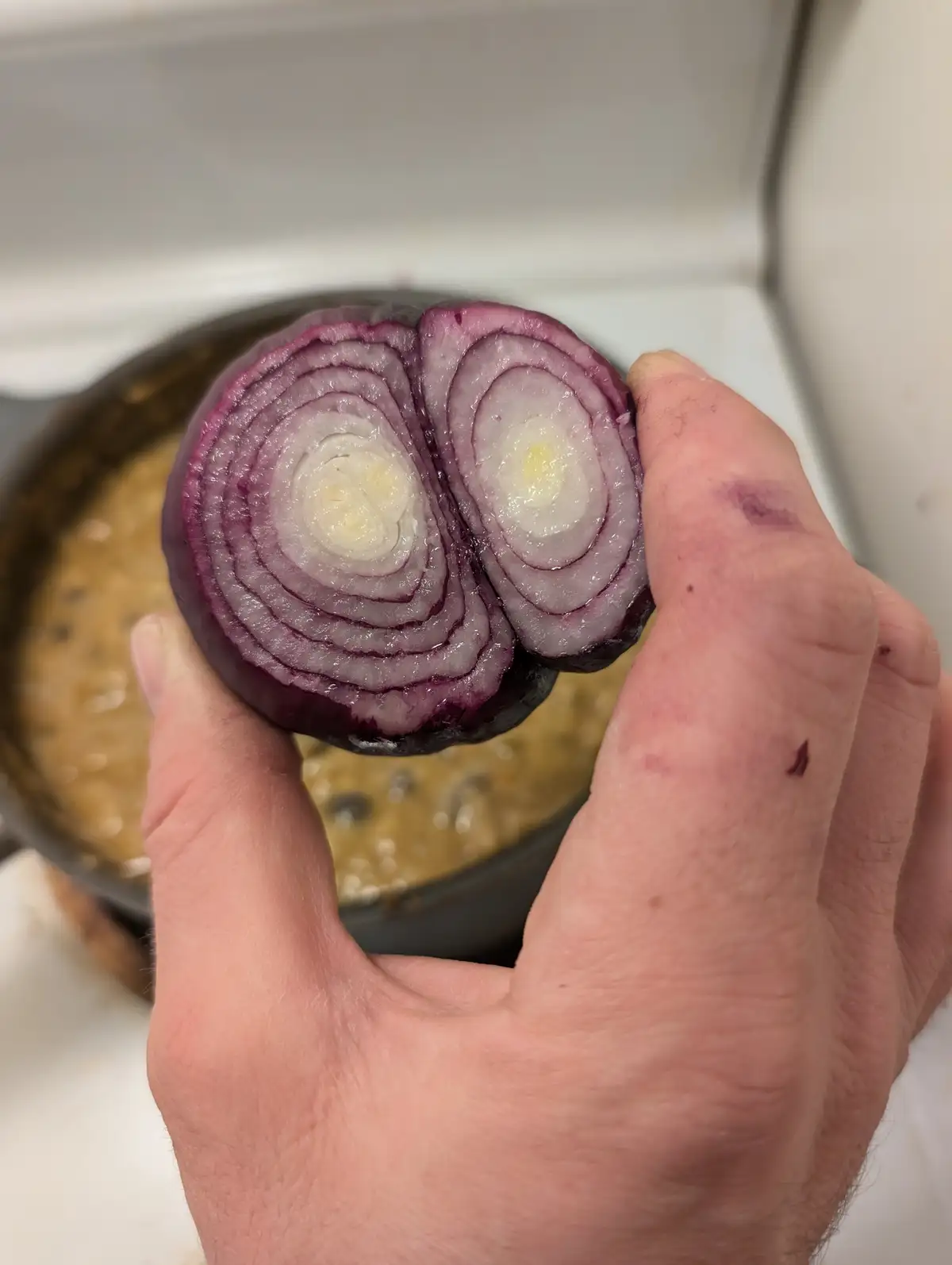 A hand holds a sliced red onion, revealing its concentric purple and white rings, with purple stains on the fingers and a…