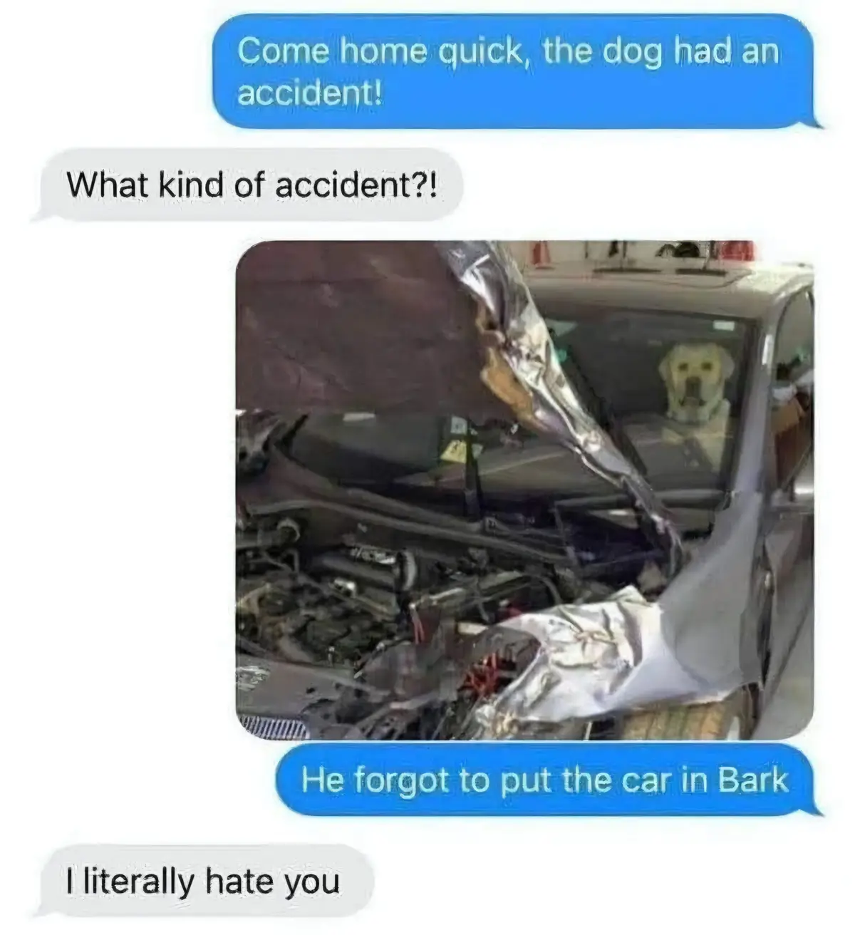 If Your Partner Can Laugh at Your Pranks, You've Found a Keeper